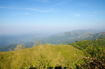 shutterstock_585173761 1