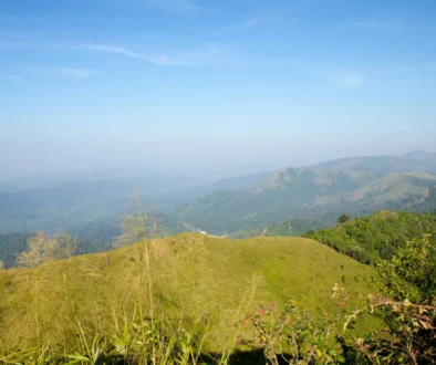 shutterstock_585173761 1