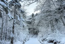 Horské oblasti jako z pohádky