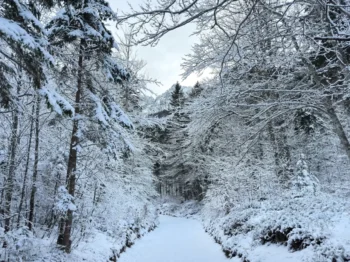 Horské oblasti jako z pohádky