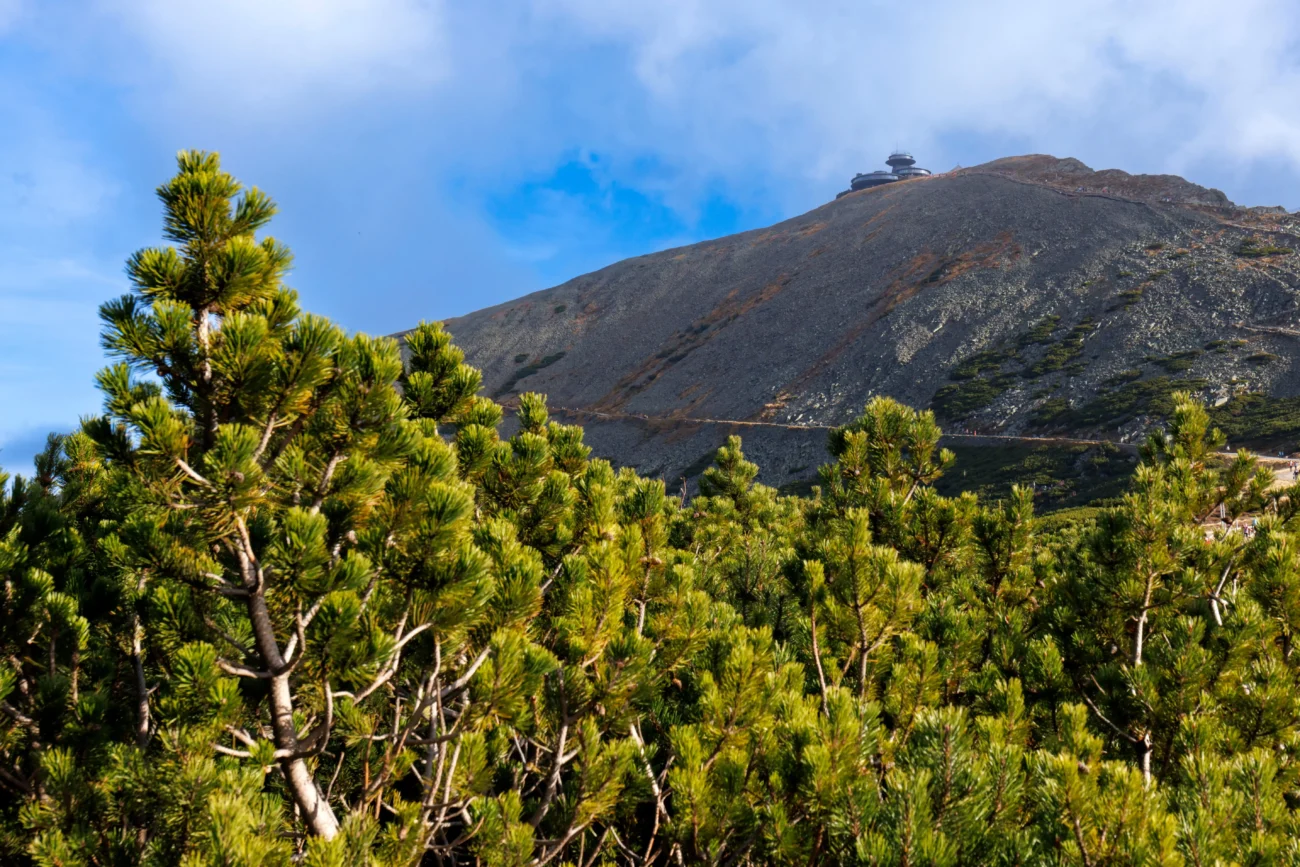 shutterstock_2221124331 1 | TVGURU.cz Sněžka.