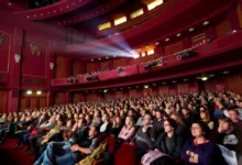 lidé sedící v kině