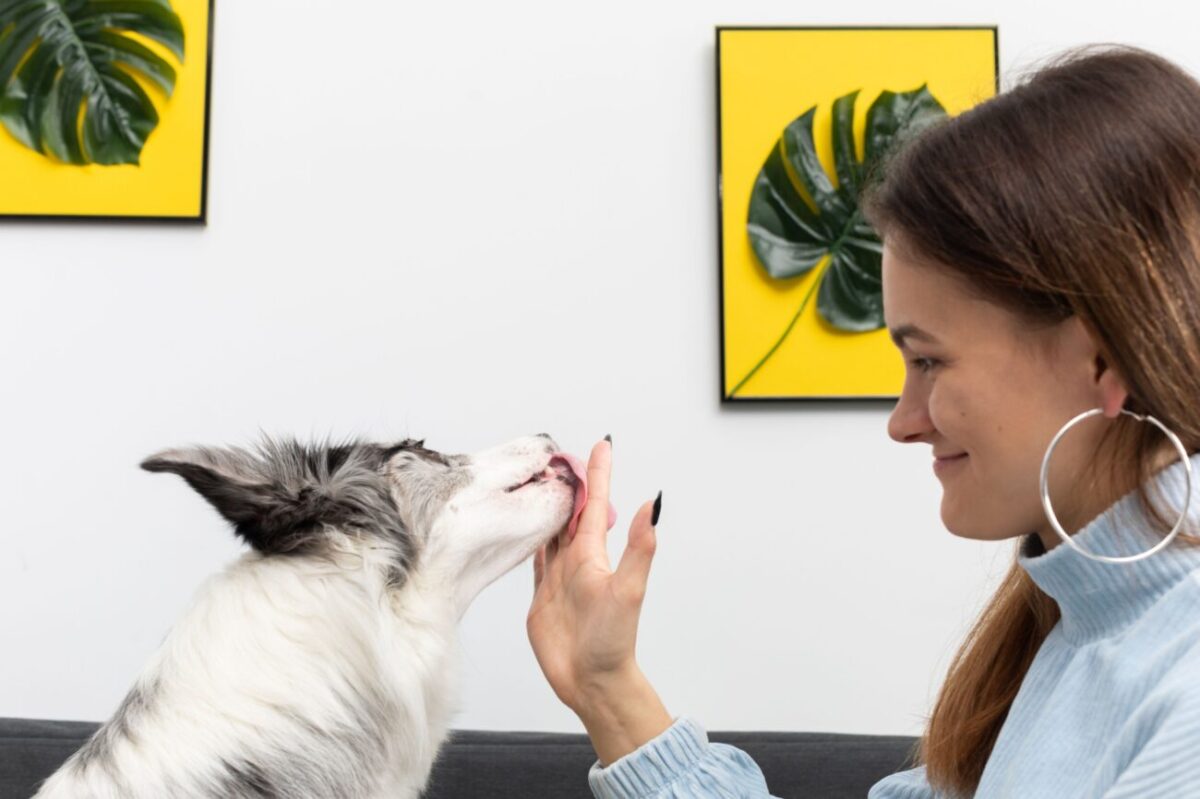 pes olizuje paničce ruku