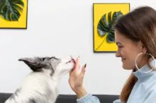 pes olizuje paničce ruku