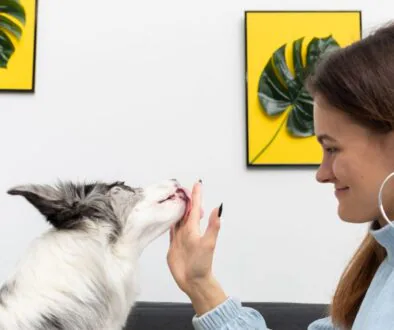 Shutterstock_1921008140 pes olizuje paničce ruku