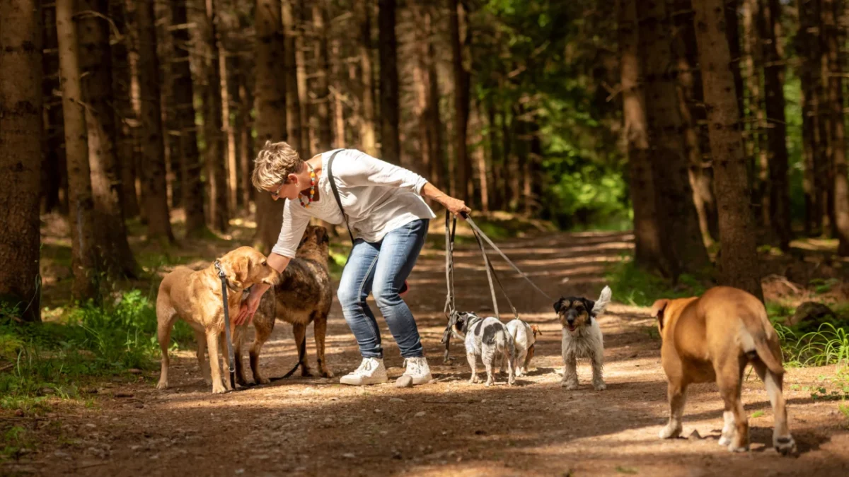 shutterstock_1429569221