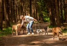 shutterstock_1429569221