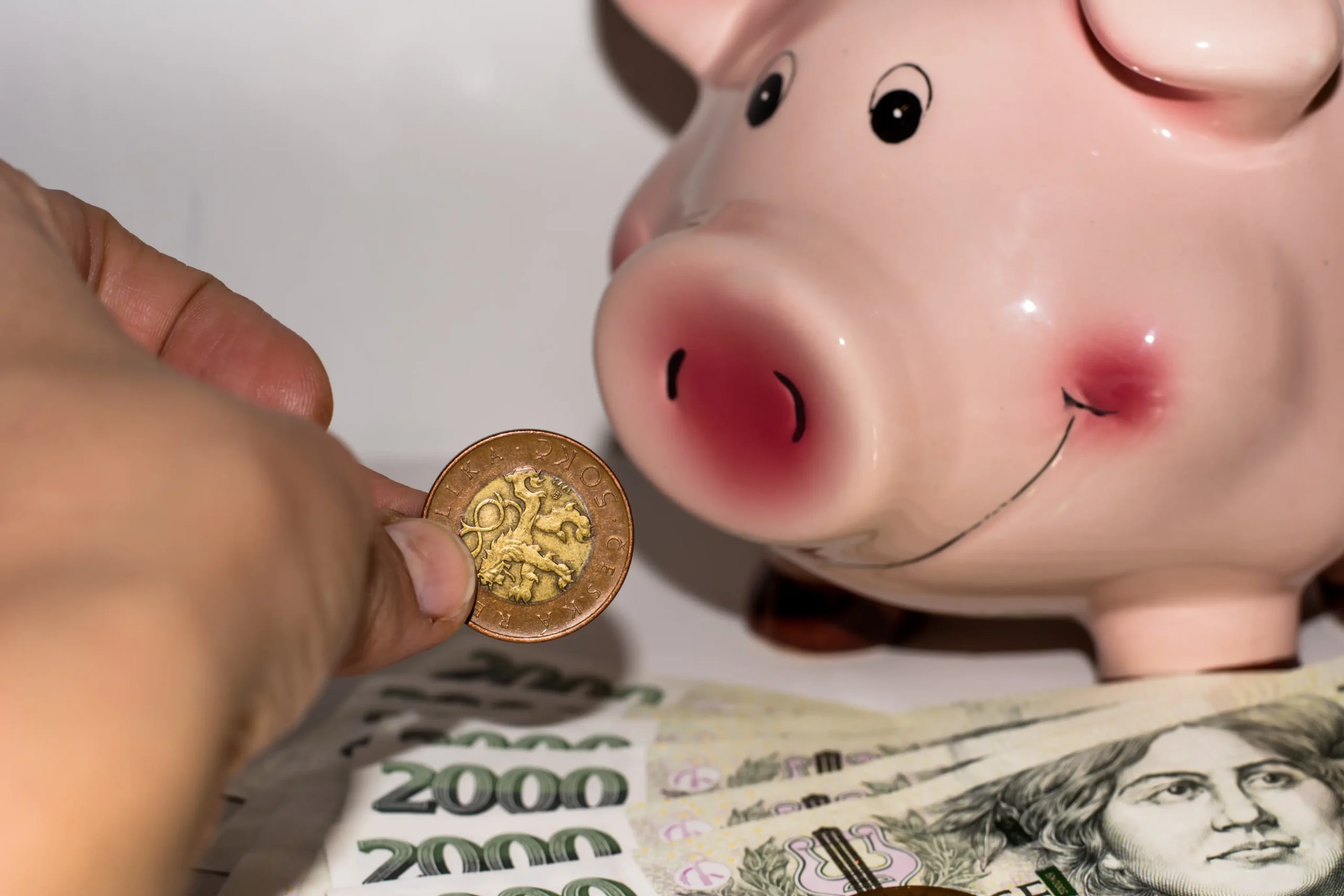 shutterstock_782965471-2