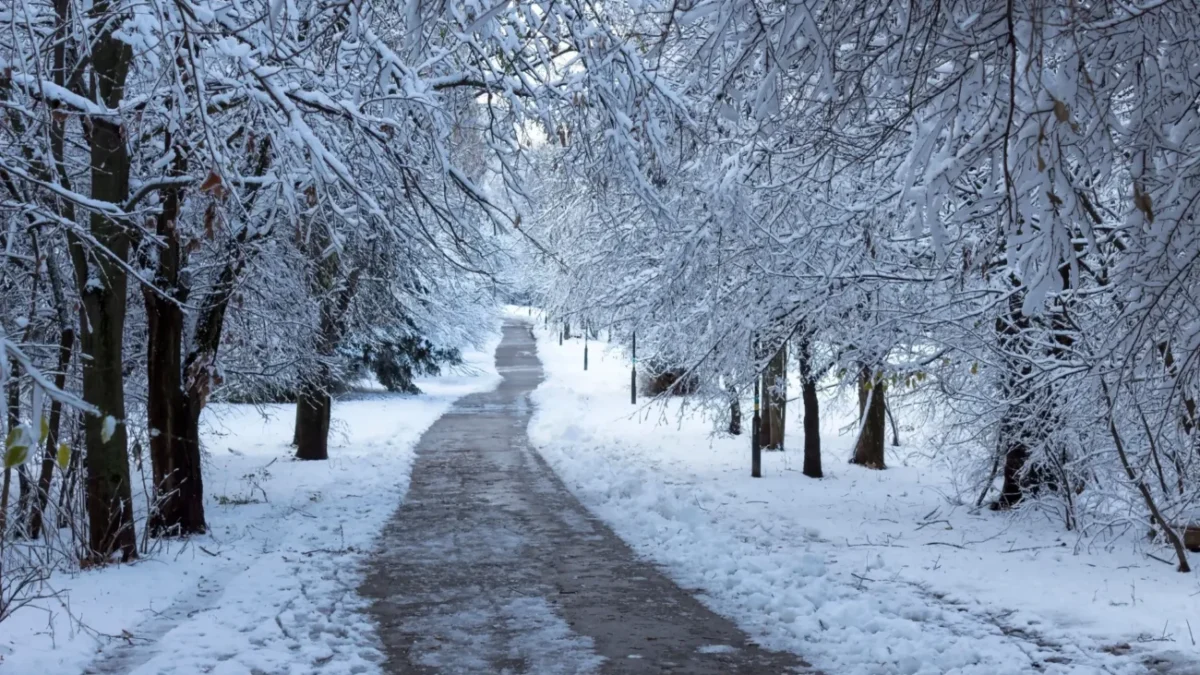 Nasněží a vzápětí sníh odtává...