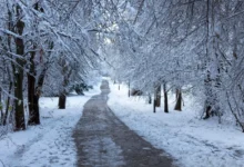 Nasněží a vzápětí sníh odtává...