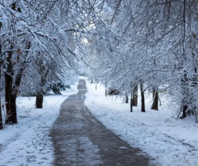 Nasněží a vzápětí sníh odtává...