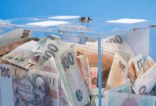 české peníze v krabičce průhledné