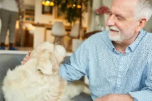 Senior v modré košili a jeho zlatý retrívr: hledí na sebe spokojeně (záběr zblízka)