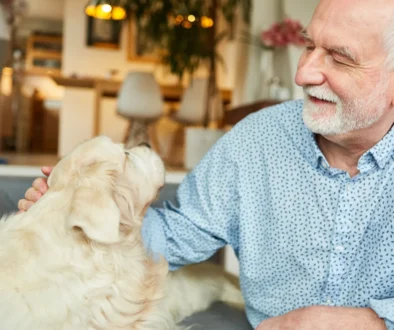 Senior v modré košili a jeho zlatý retrívr: hledí na sebe spokojeně (záběr zblízka)