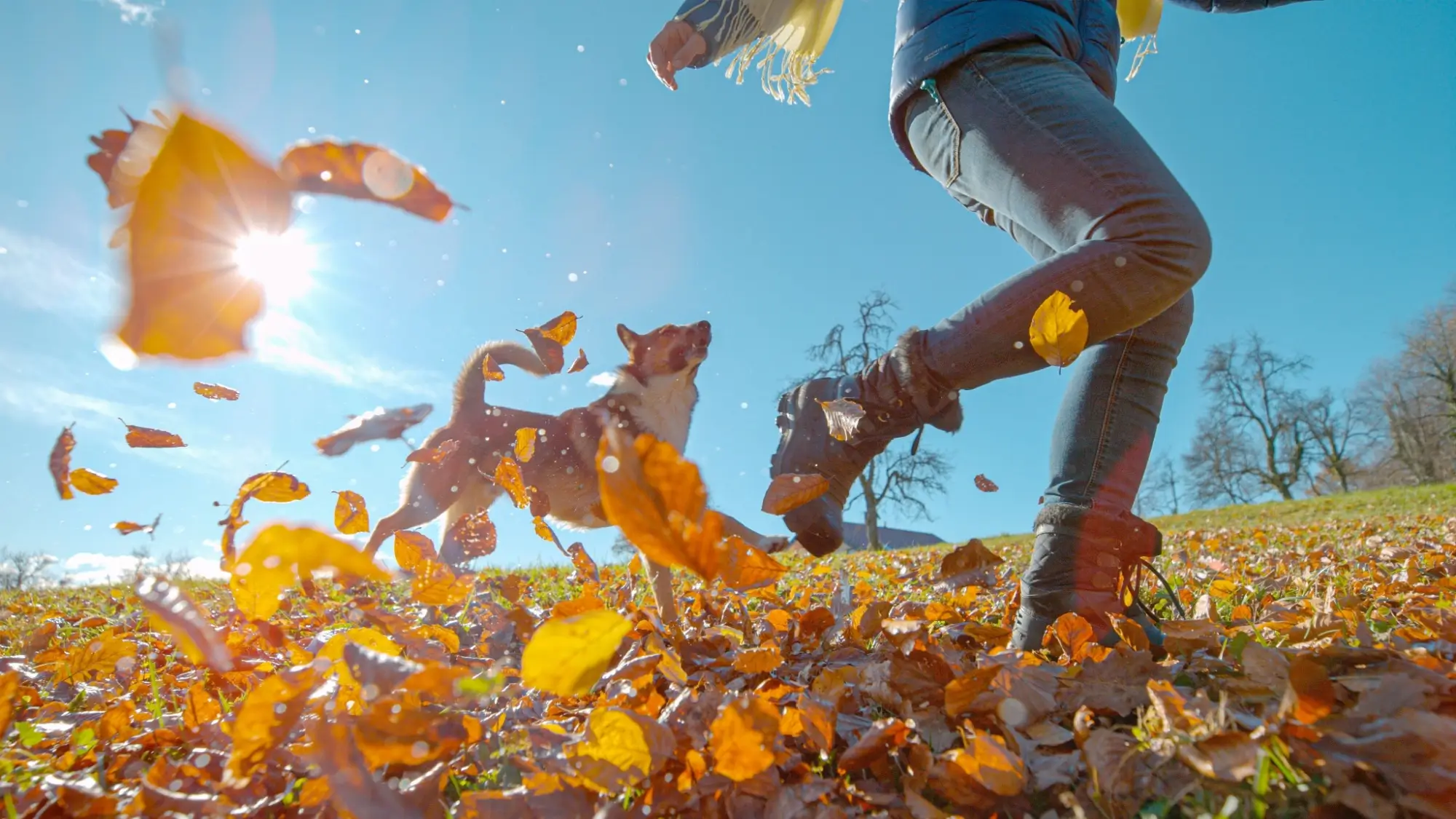 Začátek listopadu nám dopřál krásné dny