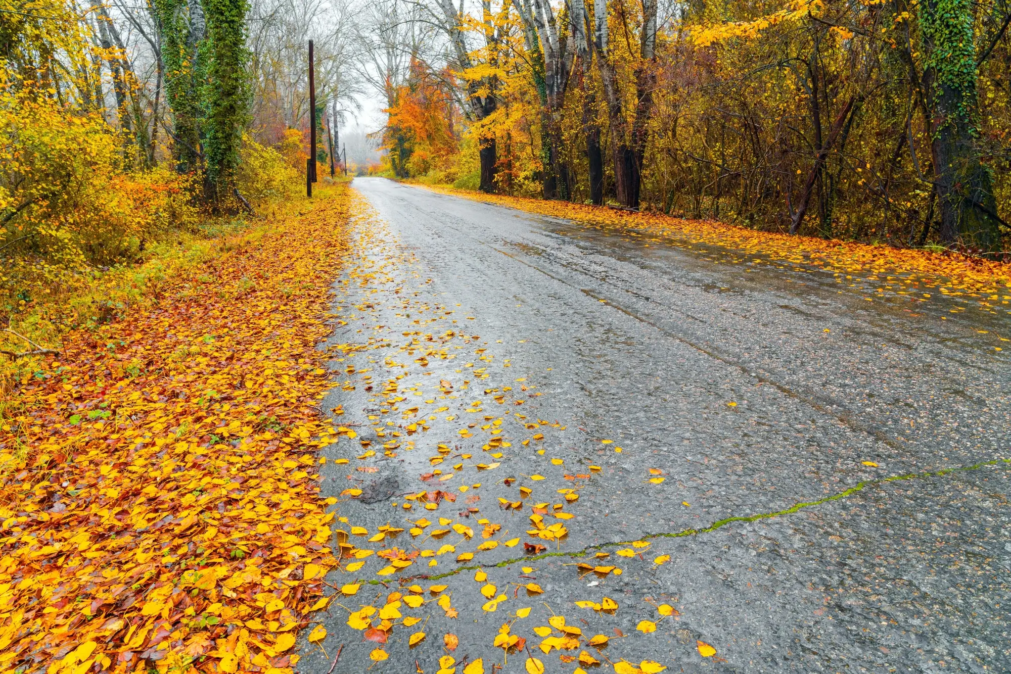 Tento ráz počasí by měl trvat jen krátce | TVGURU.cz Tento ráz počasí by měl trvat jen krátce