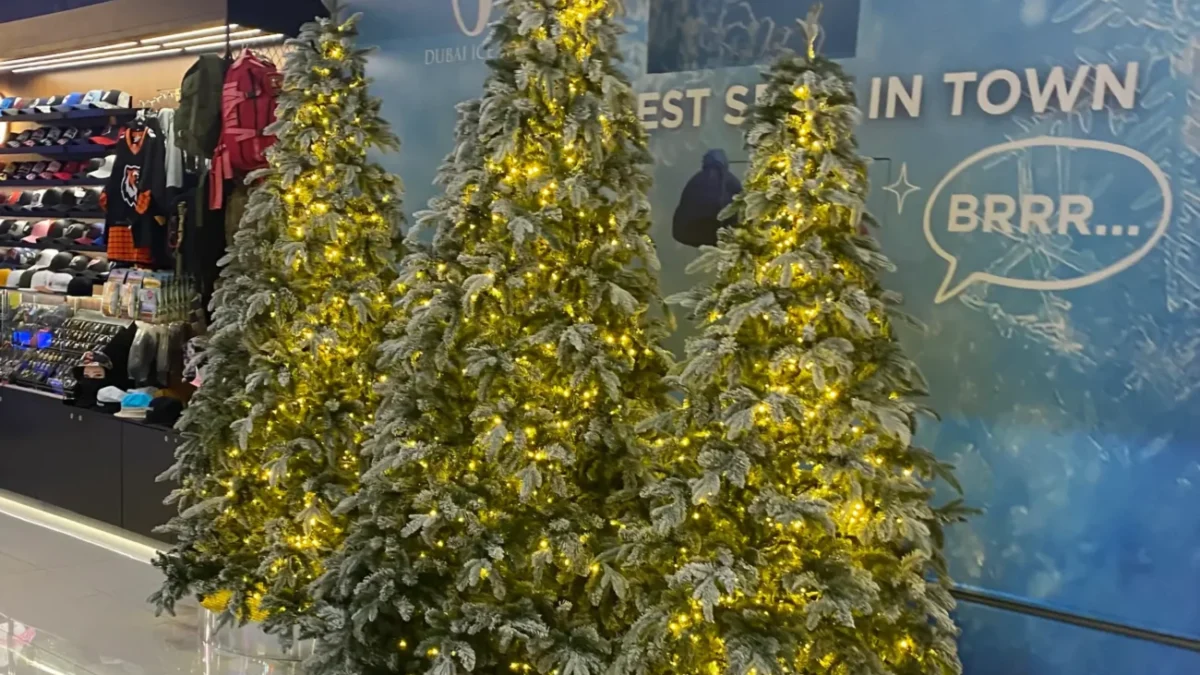 vánoční stromečky v obchodě