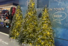 vánoční stromečky v obchodě