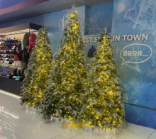 vánoční stromečky v obchodě