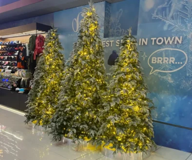 vánoční stromečky v obchodě