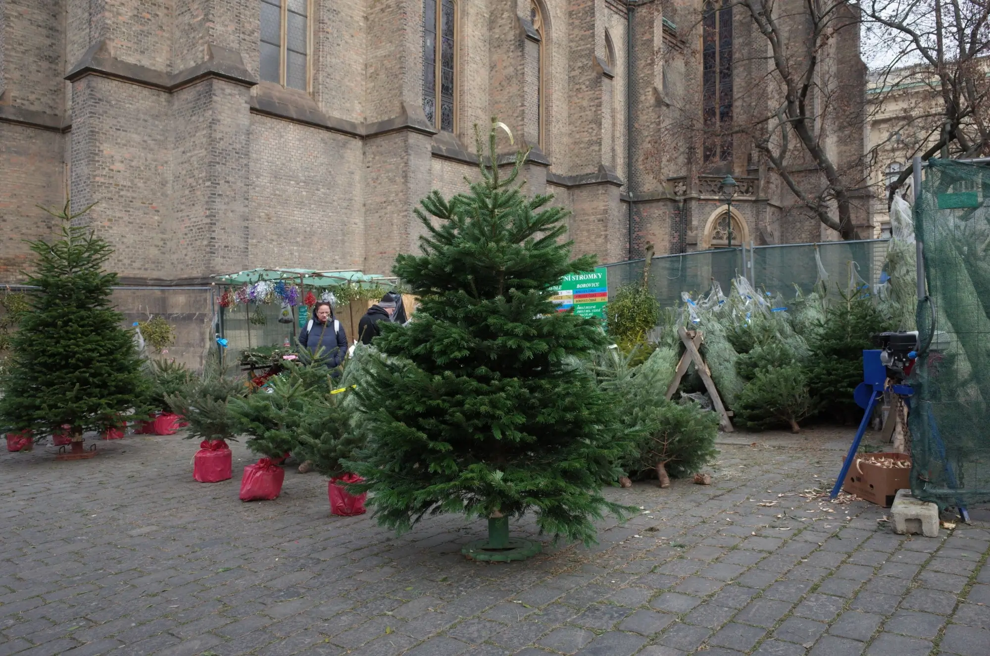 Prodej vánočních stromků v Praze