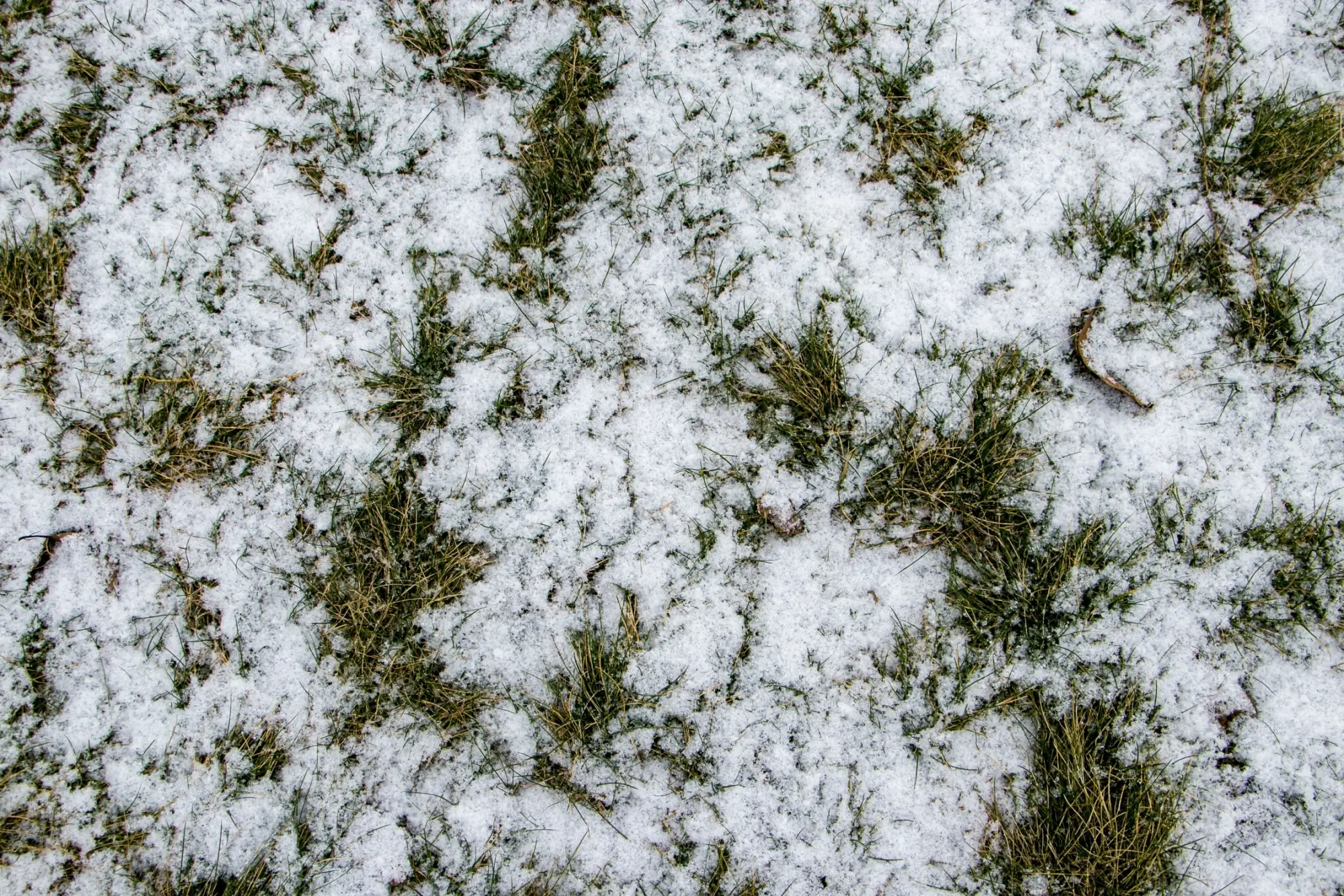 Slabý poprašek sněhu se objeví i v nížinách