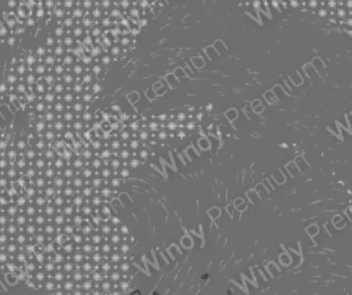 Tak nějak vypadala zima 2010 u nás