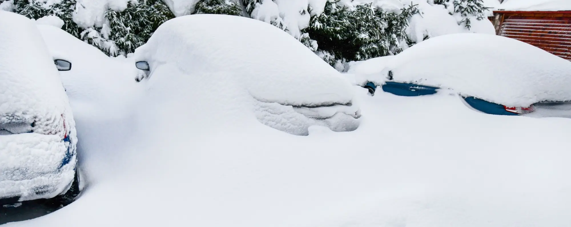 Zimní kolaps 2010 | TVGURU.cz Zimní kolaps 2010