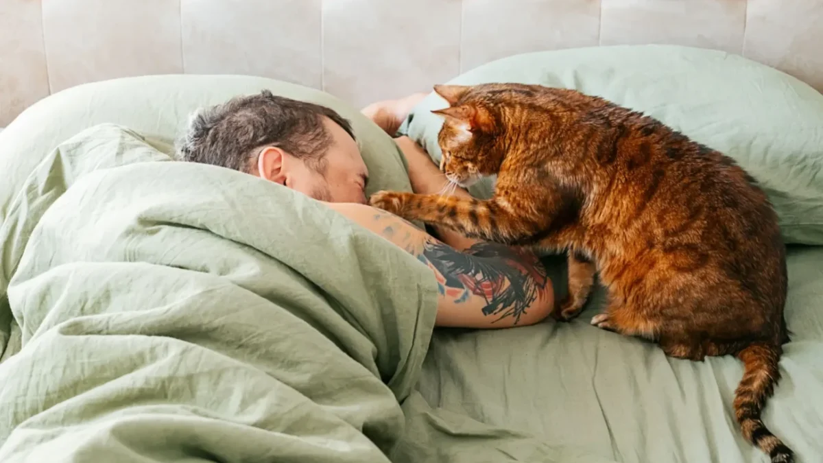 Tenhle pes se nosí jako kočka. Zdroj: Shutterstock