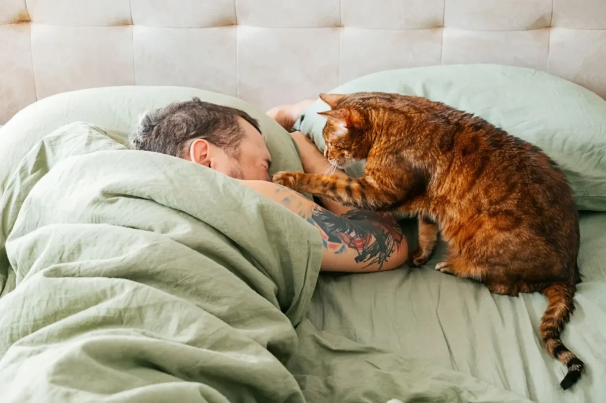 Tenhle pes se nosí jako kočka. Zdroj: Shutterstock