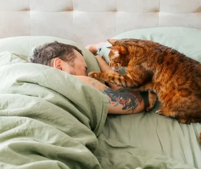 Tenhle pes se nosí jako kočka. Zdroj: Shutterstock