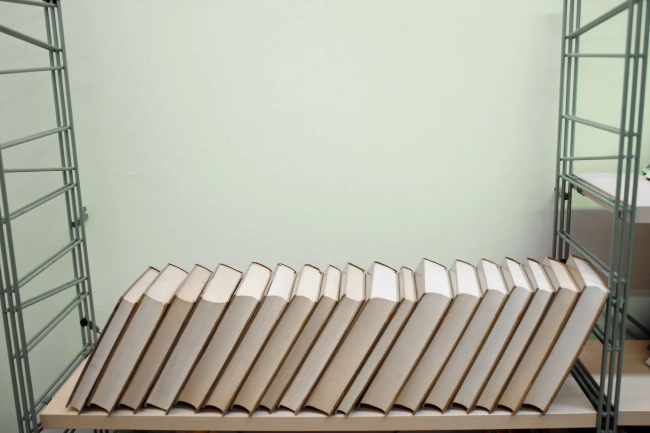 shutterstock_1233770323-2 | TVGURU.cz Knihy jsou vyskládané na regálu.