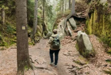 muž v lese hledá signál na telefonu