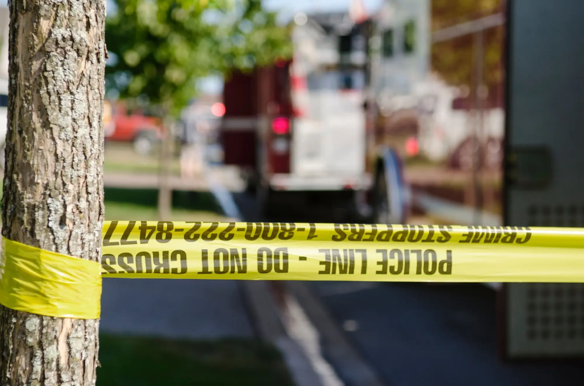 Shutterstock_1071923204 | TVGURU.cz místo činu