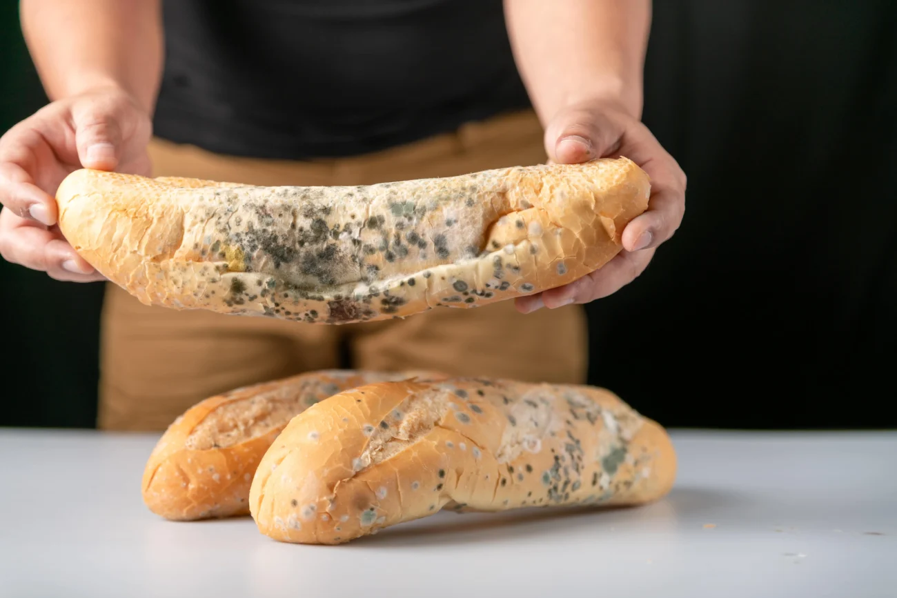 shutterstock_2107161935-min | TVGURU.cz plesnivý rohlík