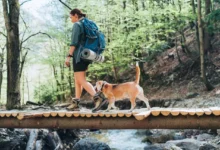 paní se psem na čundru