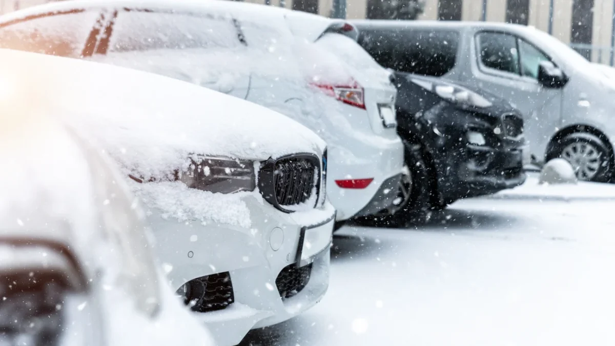 shutterstock_2067356870