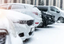 shutterstock_2067356870