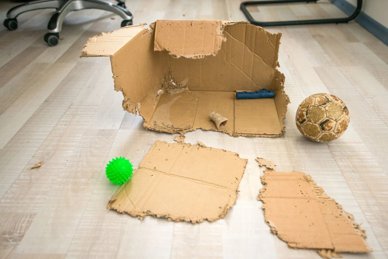 shutterstock_1210233298-min | TVGURU.cz roztrhaná krabice