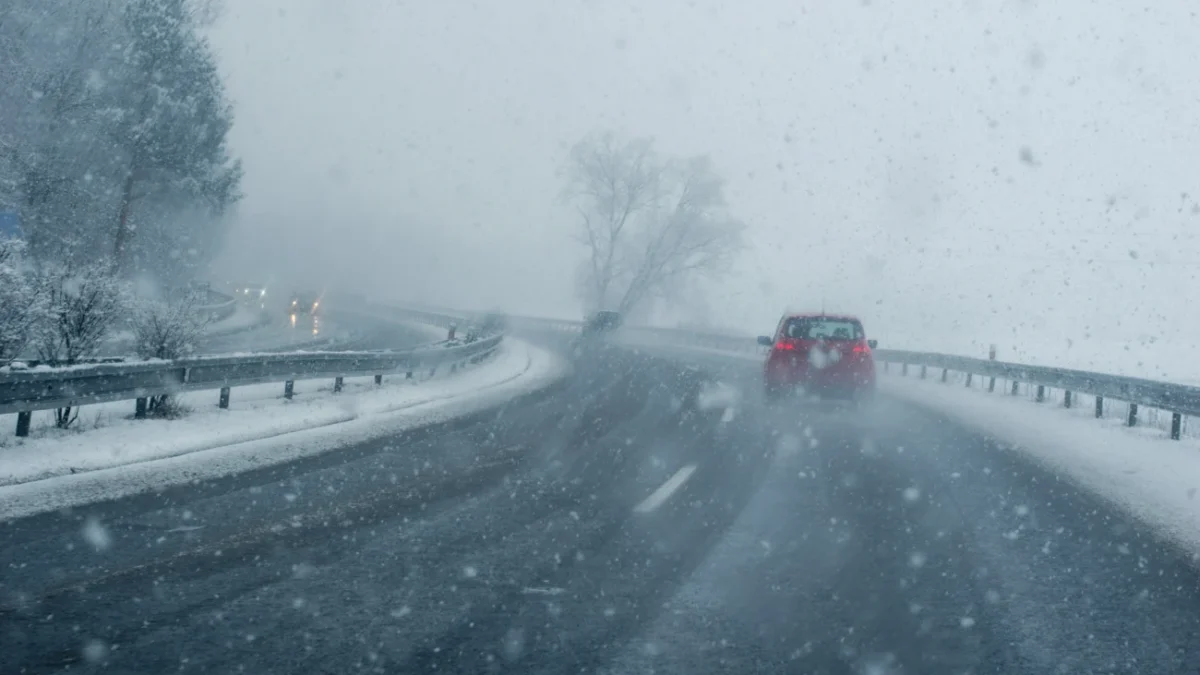 shutterstock_2530224329