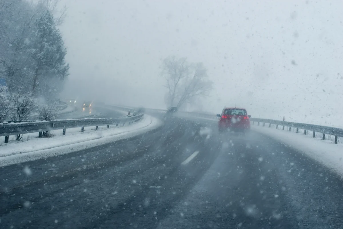 shutterstock_2530224329