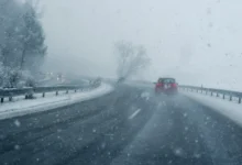 shutterstock_2530224329