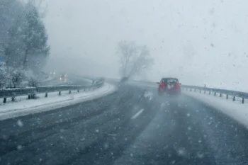 shutterstock_2530224329