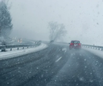 shutterstock_2530224329