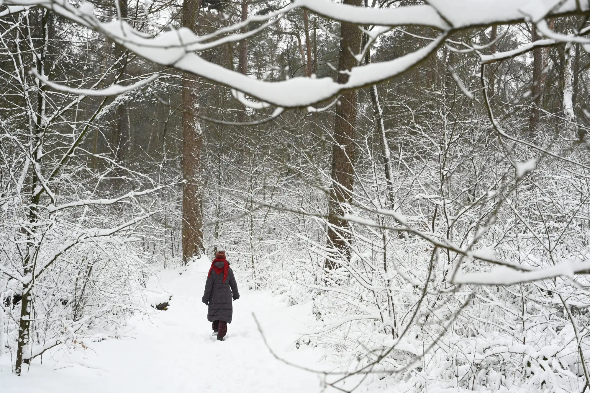 Macecha poslala Marušku v zimě pro jahody