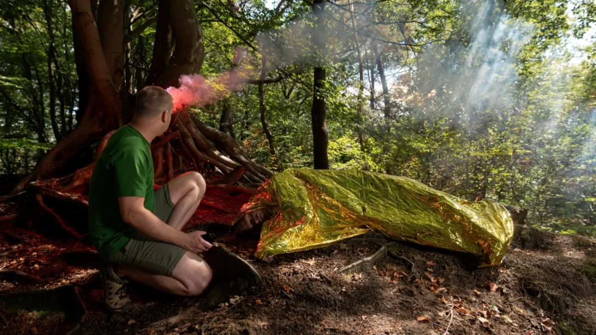 shutterstock_2669318157-2