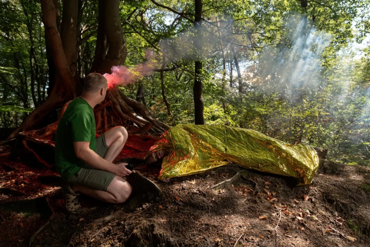 shutterstock_2669318157-2