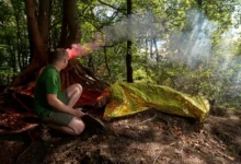 shutterstock_2669318157-2