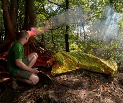 shutterstock_2669318157-2