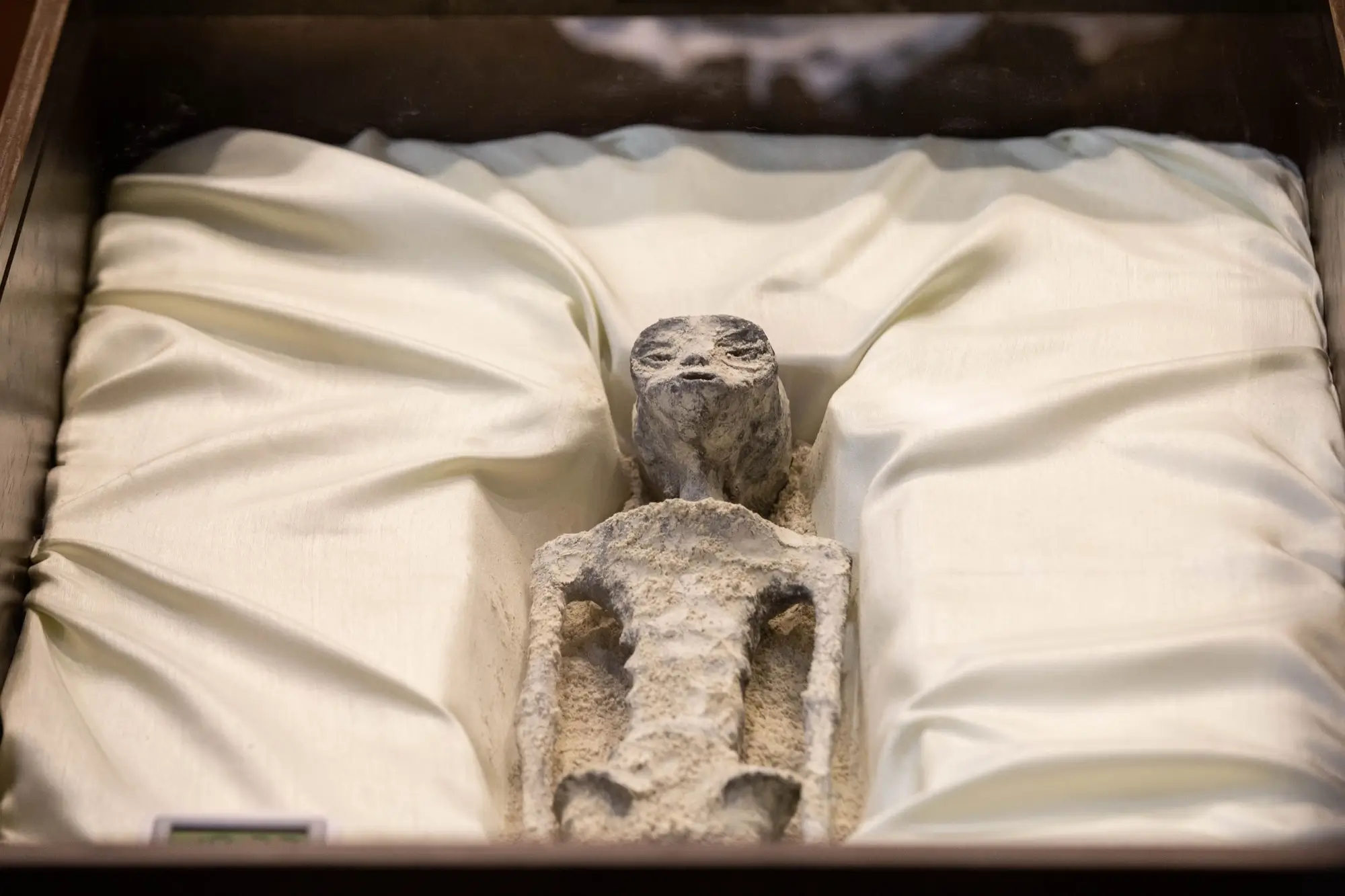 Mexický ufolog představil dvě údajně ne-lidská těla nalezená v Peru